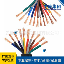 �������L�е͟��o�u���ȼ��| WDZ-RVV 2*0.5