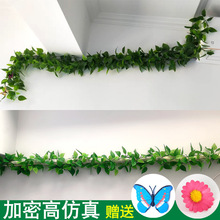 �����ٗl�G�}�~�b٘��~�G���������ϻ���ˮ�ܵ��ړ����{�G�~��