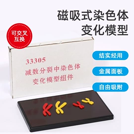 教学演示用品;生物教学器材;医药教学器材