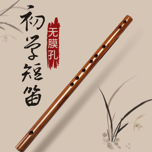 Mini Transverse Flute Without Membrane Holes for Beginners, Bamboo Flute for Students, Children, Adults, Female Portable Flute