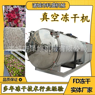 定制奶酪奶块真空冻干机 牛奶真空冻干设备 商用糖果真空冻干机
