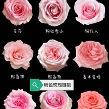 ��϶��ϻ���ֱ�l��ɫõ���r�����l��c�����Ӳ����û���朵���