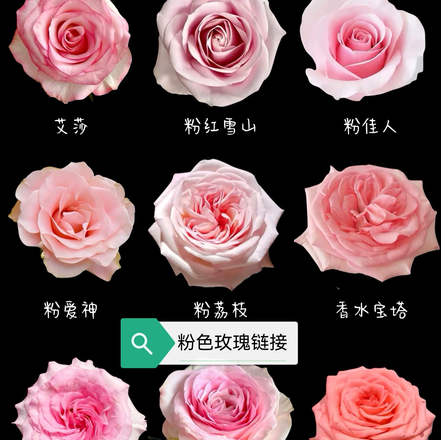 Прямая доставка из базы в Дунане, Юньнань: оптовые розовые розы для свадебных флористов и оформления мероприятий, доставка в магазин с использованием холодовой цепи.