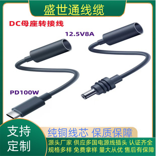 ʢ��ͨ-DCĸ�^�DType-C��ˮ�Դ��18CM MINIĸ�������^�F؛