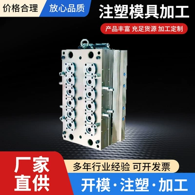 Plastic Product Mold Opening Custom Avtomobil hissələri qəlibləri