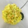 Tender yellow