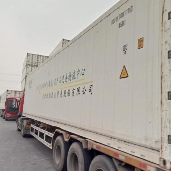 青岛堆场卖冷藏集装箱 制冷集装箱 冷冻装蔬菜集装箱 冷冻鱼集装