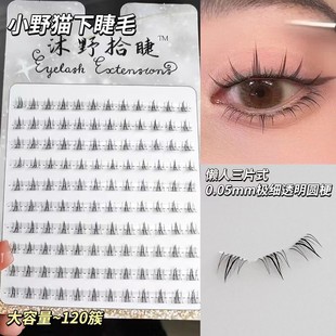 ��Ұʰ��СҰ؈�½�ëʮ����ɳ�ٽ�ë�δطֶ�ʽŮ��Ȼ����С����