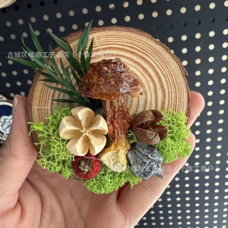 云南真蘑菇冰箱贴菌子真植物果实木头标本装饰手工创意工艺品滴胶|undefined