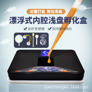 Shrimp Egg Hatching Box Artemia Hatching Shallow Tray Simple Incubator Efficient and Easy to Collect Peacock Fry Opening
