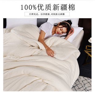 Xinjiang Cotton Quilt Wholesale Cotton Quilt Quilt Core Thickened Warm Dormitory Mattress Cotton Wool Pad Bedding