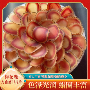 ÷��¹��Ѫ�t�DƬԴ��¹�l��Ѫ����غ����a�|�����Ϸ���Ƭ��