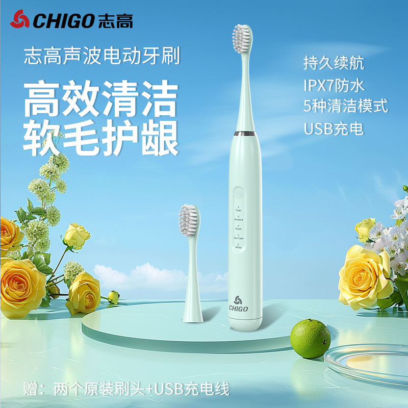 전동칫솔(충전식 모델)