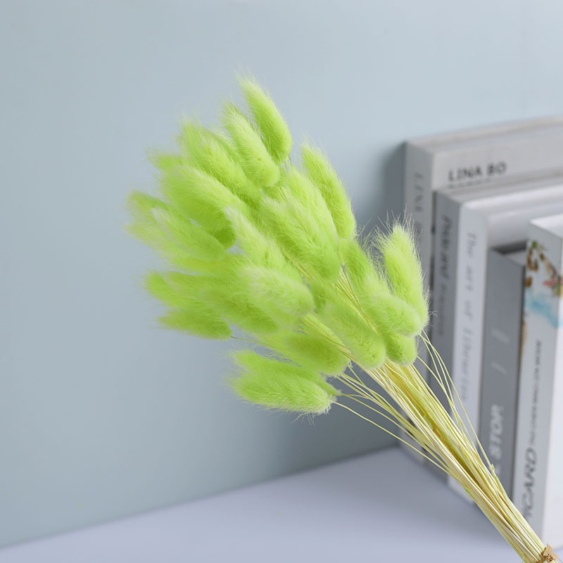 La flor eterna de la flor de la cola de conejo hierba seca 60 piezas al por mayor Dogtail hierba seca ramo de flores decoración DIY conejo hierba de la cola