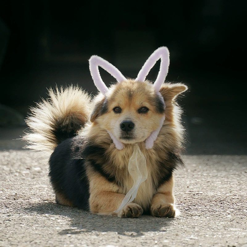 Ji Zai Pet Pet плюшевые милые кроличьи уши аксессуары для волос кошки собаки теплые зимние повязки для волос сладкие девичьи головные уборы