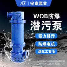 BQS15-70/2-7.5/B���۱� ��������ˮ������ ���P��͸��g���۱�