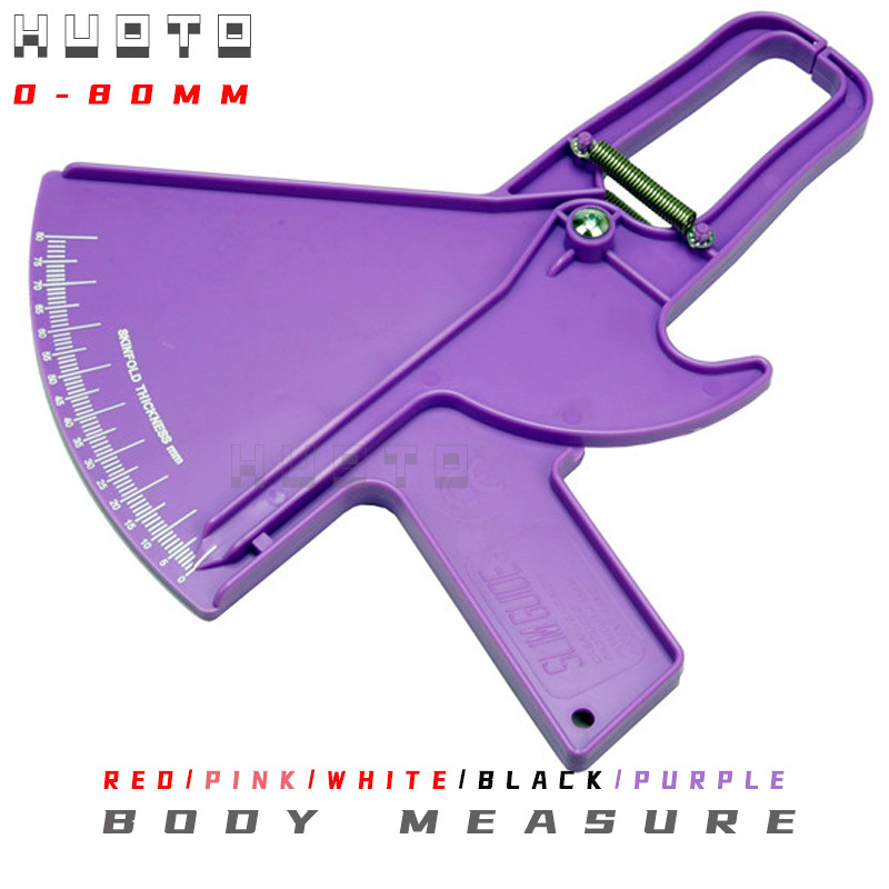 Sector-shaped fat ruler purple
