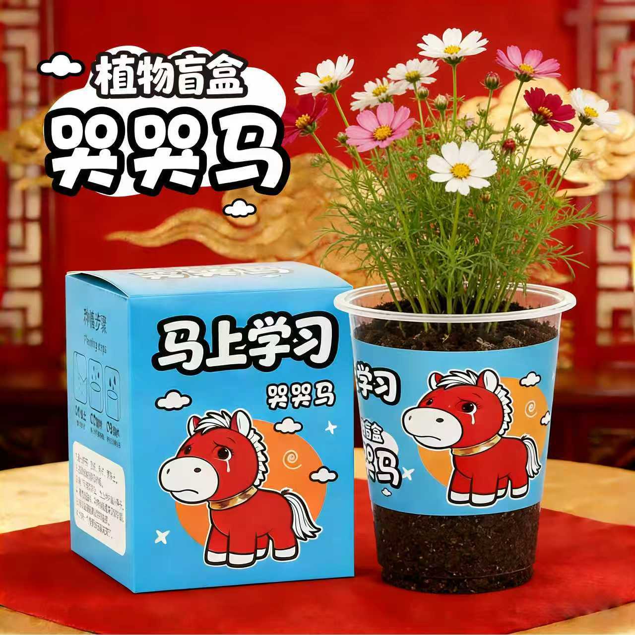 Nuevas plantas ciegas cajas de niños pequeños macetas decoración de escritorio mini maceta verde 1 de junio regalo del día de los niños image 7