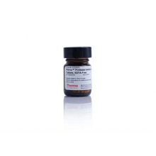 thermo 88802 PierceA/G���鵰��/��ù�׺��ش���