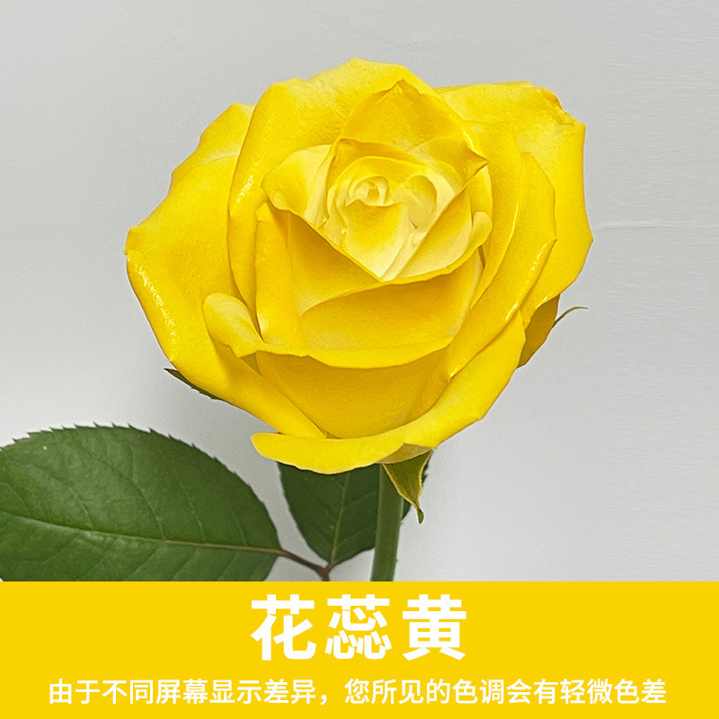 Xingle flower stamen yellow (480ml)