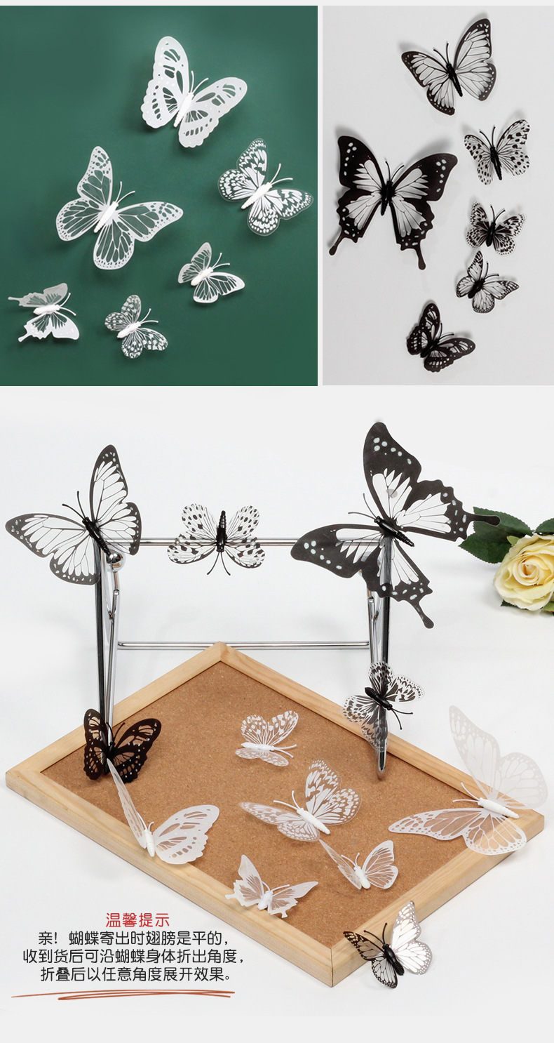 黑白蝴蝶详情_06.jpg
