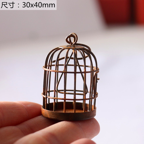 Ironwork Rust-Effect Birdcage Garden Patio Succulent Decorative Flower Basket Miniature Landscape Hollowed-Out Lace Wall Hanging Home Decor