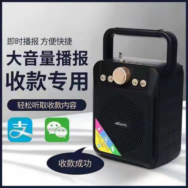 Portable Speaker Home Square Dance Portable Microphone with Radio Wireless Bluetooth Outdoor Audio Subwoofer