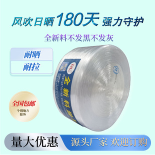 �x��ȫ�����������Kpp�����K���S��������������b�K