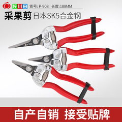 Taiwan's original Sakawada 908 fruit picking shears SK5 steel branch shears flower arrangement scissors with plastic iron handles for potted plants