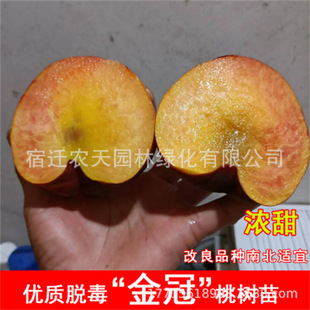 Ѫ�Ҙ����޽Ӽt��Ѫ��������������ɰ�t�Ҙ��������Ϸ�ͥԺ�Nֲ