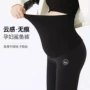 夏季外穿大码瑜伽孕妇裤