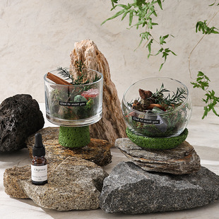 ��ȻɽҰ��ɼϵ�Пo����޹�Y�����b�U��ʯ�ӼҔ[�������}�Q���Y��