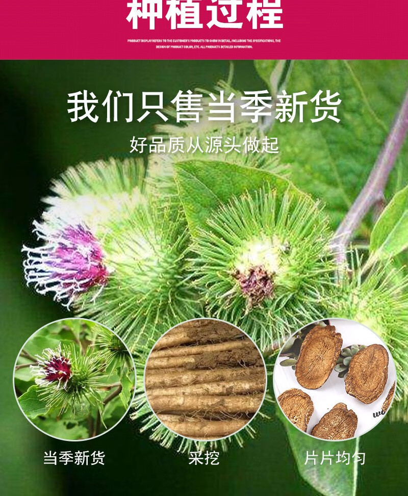 Burdock Root Tea Niu Bang Gen 500g Dried Golden Burdock Slices for Daily Herbal Infusion specifications