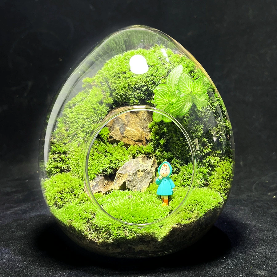 [Яичная скорлупа] Экологическая бутылка в горшке с микроландшафтом из мха, интересные и креативные маленькие бонсай для выращивания растений на рабочем столе, зеленые растения