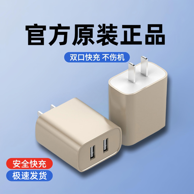 Mobile Phone Charger Dual USB Plug 5V2A Dual Port Suitable for Apple Vivo Huawei Multi-Function Fast Charging Head Multi-Color