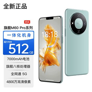 �������a�N����ƷM60pro�W���r�Α������֙C512G5Gȫ�Wͨ�p���p��