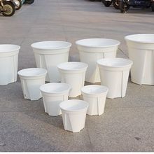 ��ɫ��ɽ��Ӂ���Ӻ���ɽ�ظ�������m���ϻ���������S��ֱ�l