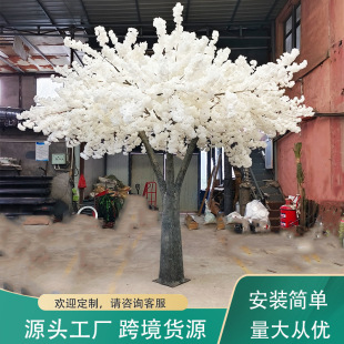 ���Ͳ���䓙ѻ������ѻ����҃��bƵ��c�b��쾰�����[��