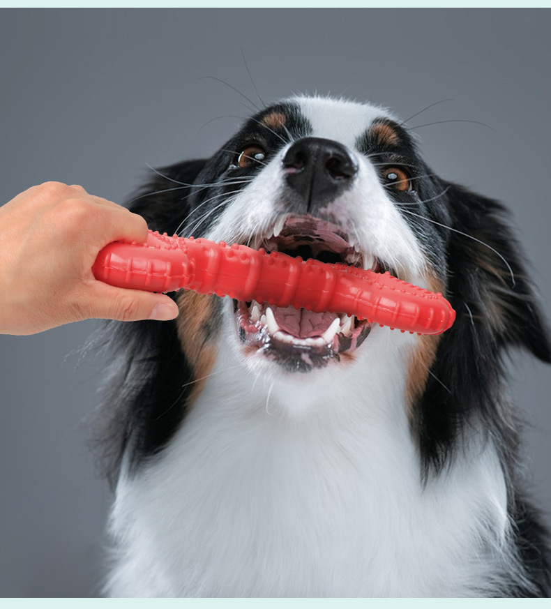 狗玩具