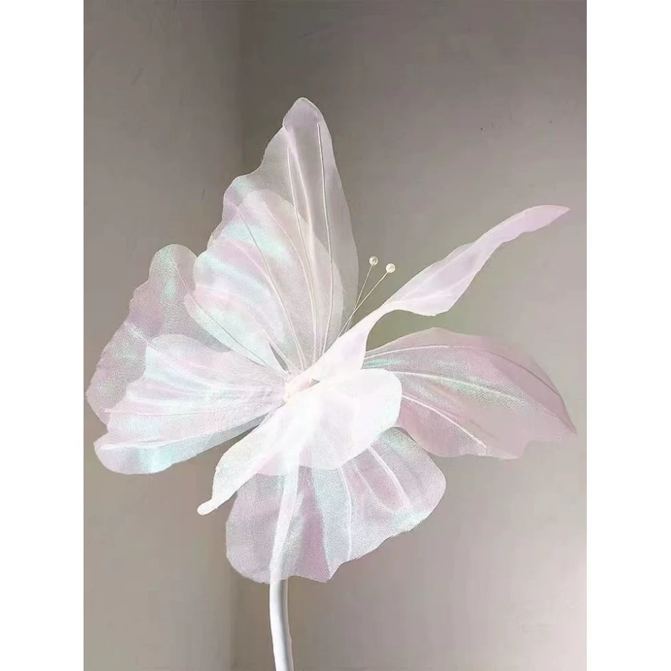 Decorations for photo sessions with butterfly, three dimensional creative layout, dress up