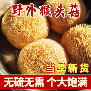 ���^���ɷ�Ұ���Ҝ����rҰ�����^�����^�����Bθ�����خa