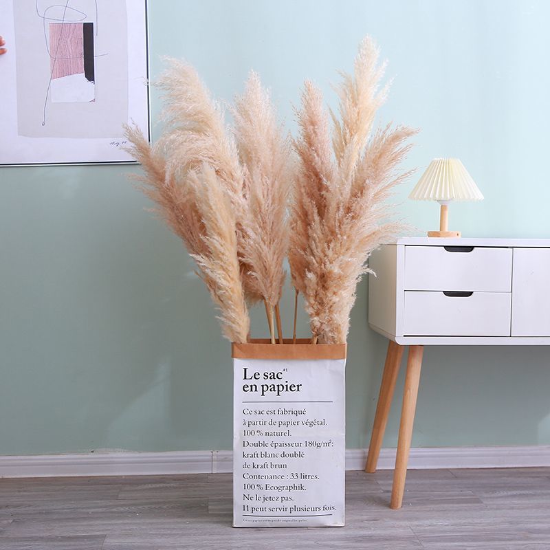 대형 팜파스 그래스 1.3m개