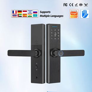 Homestay Fingerprint Lock Access Gateway Smart Lock IC Card Password Electronic Door Lock Wireless Remote Control Graffiti WIFI Lock