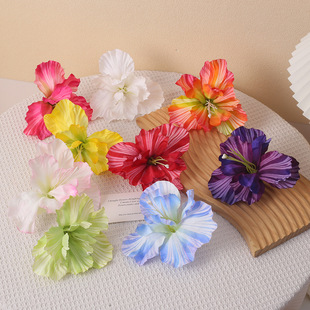 ��������z�Sβ���^��ɫ�u׃�������c�廨DIY�l���b��o��