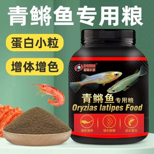 Guppy Fish Feed for Ornamental Guppies, Small Fish General Fish Food
