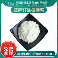 亚麻籽油微囊粉 食品级 水溶亚麻籽油粉 亚麻籽粉 现货 量大从优