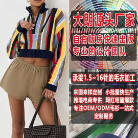 欧美新款街头时尚半高领女式毛衣  看图打版加工定制车标大朗毛织