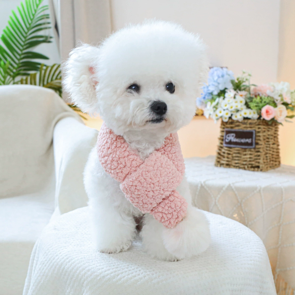 Спотовые трансграничные взрывные питомцы источник фабрики щенков кошек кошек осенью и зимой теплые шерстяные шарфы шарфы оптом