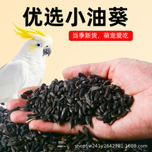 ��������С��������Ϳ����W�^�Bʳ��ς}����ʳ�B�Z���Z5����]