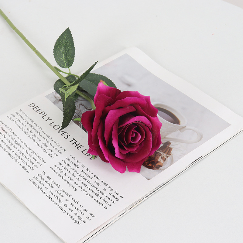 Rosa púrpura de franela grande